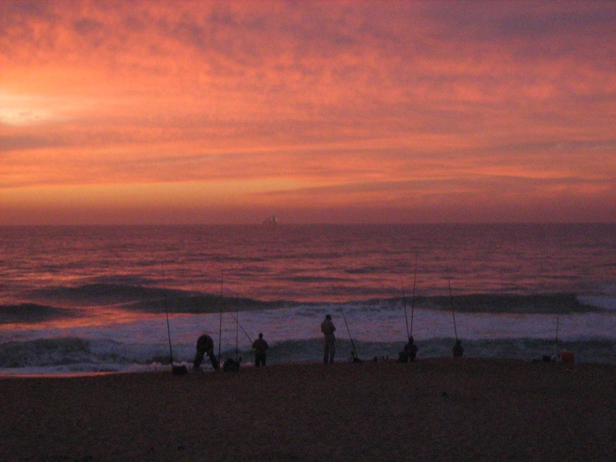 Glenashley Beach Accommodation - B&B And Backpackers ダーバン エクステリア 写真